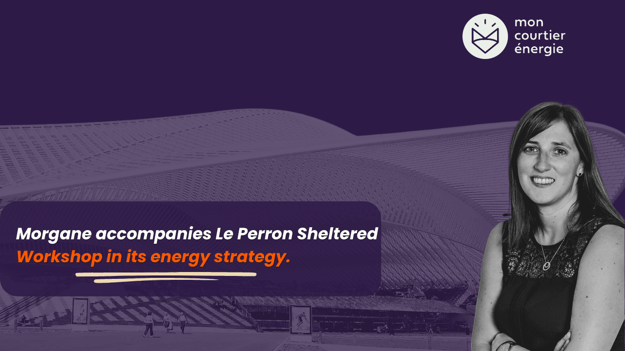 Energy broker, sheltered workshop, adapted work, energy contracts.
