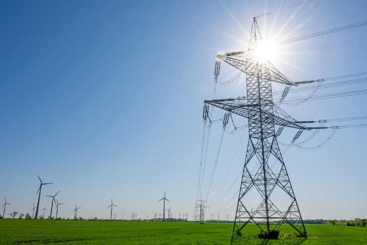 canicule électricité